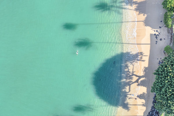 Napili Bay Swimmer