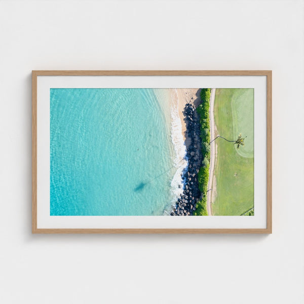 North Ka'anapali Turtle Spotting