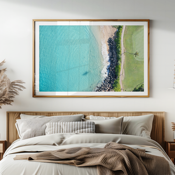 North Ka'anapali Turtle Spotting