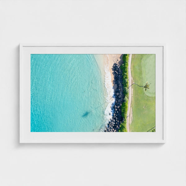 North Ka'anapali Turtle Spotting