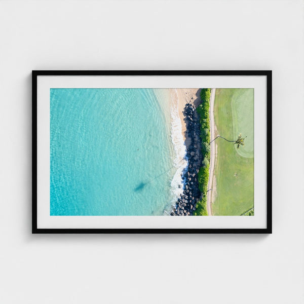 North Ka'anapali Turtle Spotting